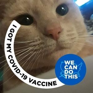 Meet your Posher, Sue